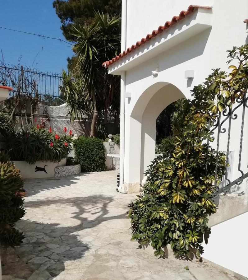 B&B L'Altare Bianco В'єсте Екстер'єр фото